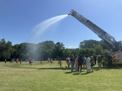 IMG 0892